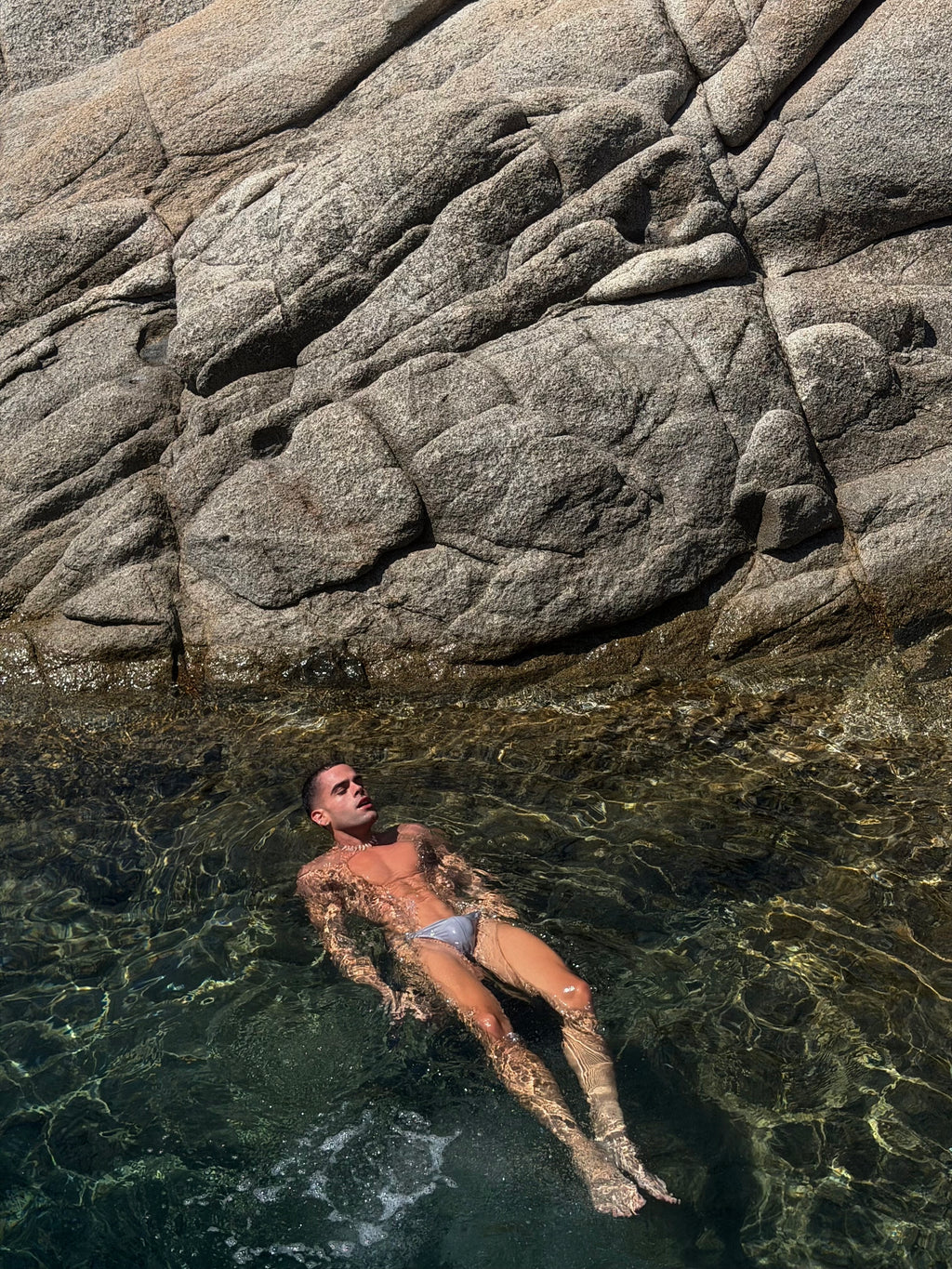 Silver Core Swim Brief – The Edge